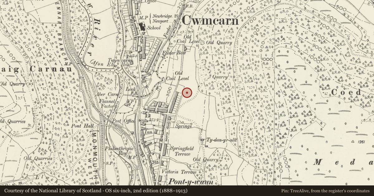 Ordnance Survey six-inch map, 2nd edition (1888–1913) covering the location of 17 Garden Suburbs, Crosskeys, Caerphilly, with a pin at the register's coordinates