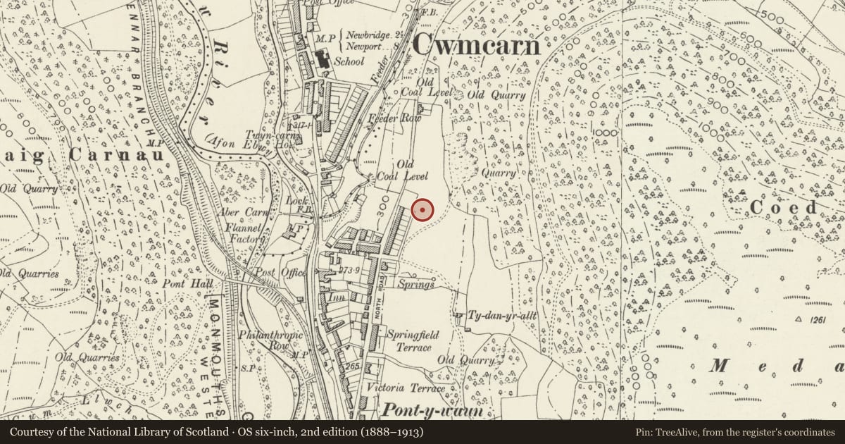 Ordnance Survey six-inch map, 2nd edition (1888–1913) covering the location of 19 Garden Suburbs, Crosskeys, Caerphilly, with a pin at the register's coordinates