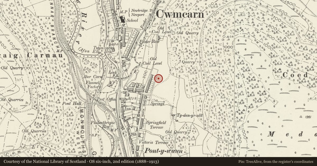 Ordnance Survey six-inch map, 2nd edition (1888–1913) covering the location of 23 Garden Suburbs, Crosskeys, Caerphilly, with a pin at the register's coordinates