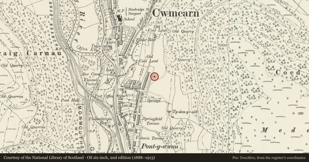 Ordnance Survey six-inch map, 2nd edition (1888–1913) covering the location of 25 Garden Suburbs, Crosskeys, Caerphilly, with a pin at the register's coordinates