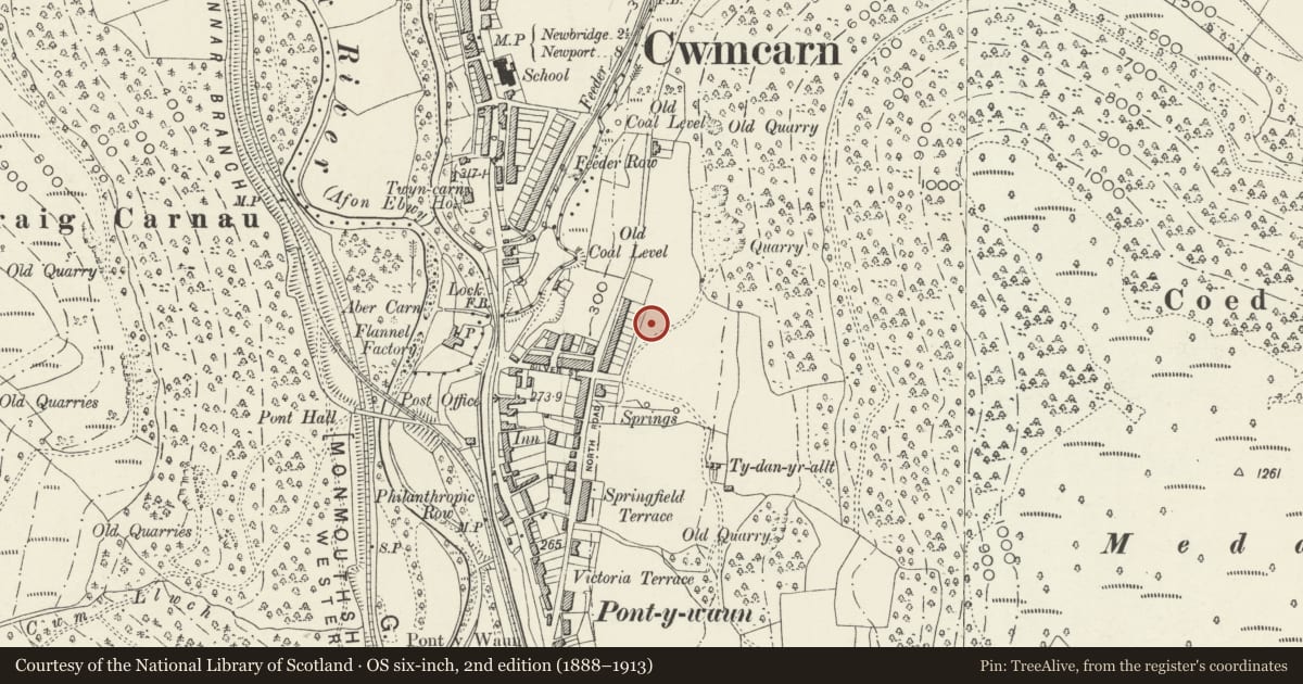 Ordnance Survey six-inch map, 2nd edition (1888–1913) covering the location of 27 Garden Suburbs, Crosskeys, Caerphilly, with a pin at the register's coordinates