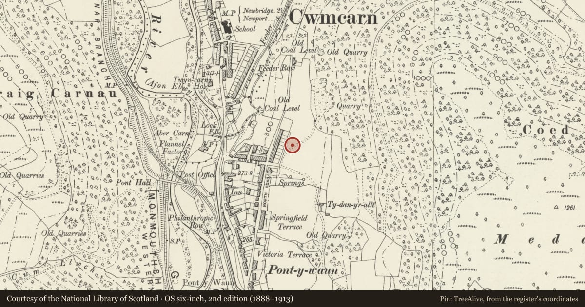 Ordnance Survey six-inch map, 2nd edition (1888–1913) covering the location of 31 Garden Suburbs, Crosskeys, Caerphilly, with a pin at the register's coordinates