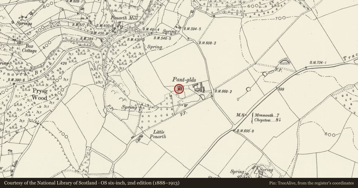 Ordnance Survey six-inch map, 2nd edition (1888–1913) covering the location of Pant-glas Farmhouse, Trellech United, Monmouthshire, with a pin at the register's coordinates