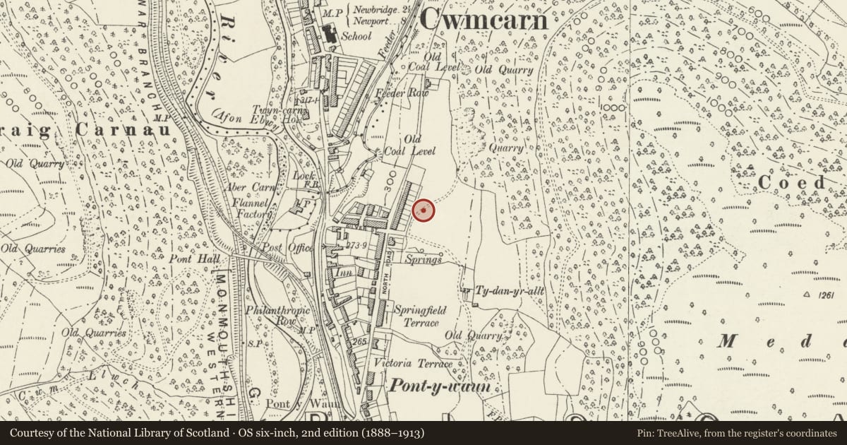 Ordnance Survey six-inch map, 2nd edition (1888–1913) covering the location of 35 Garden Suburbs, Crosskeys, Caerphilly, with a pin at the register's coordinates
