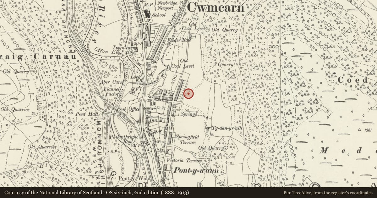 Ordnance Survey six-inch map, 2nd edition (1888–1913) covering the location of 37 Garden Suburbs, Crosskeys, Caerphilly, with a pin at the register's coordinates