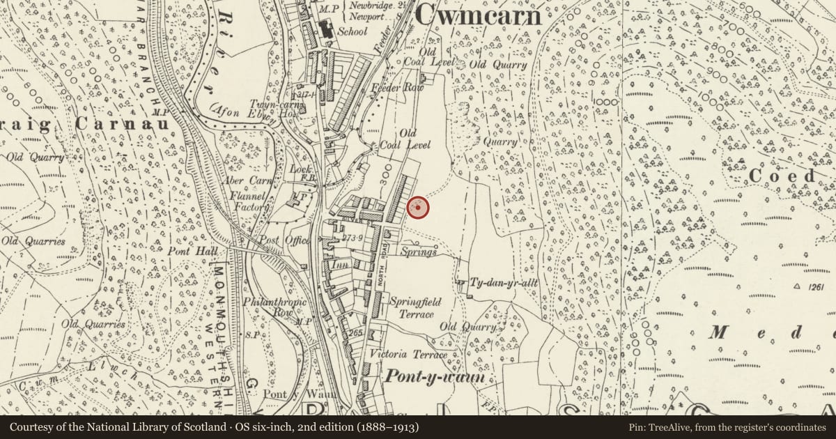 Ordnance Survey six-inch map, 2nd edition (1888–1913) covering the location of 39 Garden Suburbs, Crosskeys, Caerphilly, with a pin at the register's coordinates