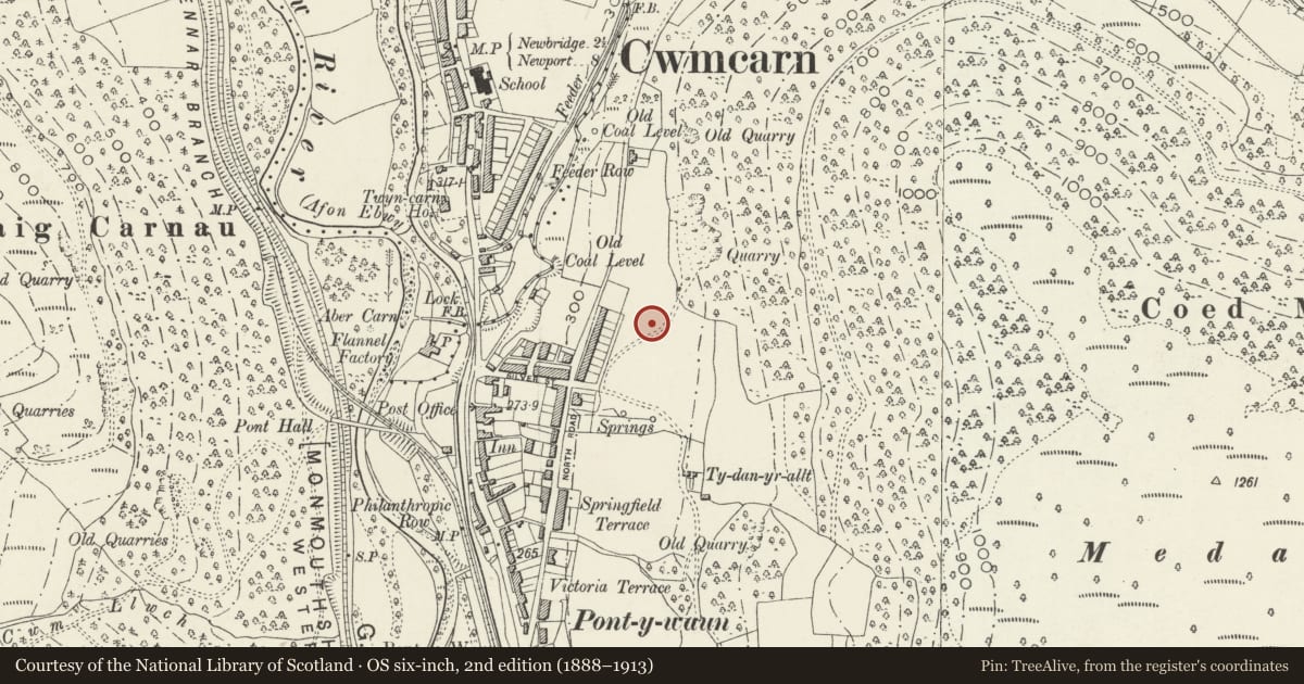 Ordnance Survey six-inch map, 2nd edition (1888–1913) covering the location of 4 Garden Suburbs, Crosskeys, Caerphilly, with a pin at the register's coordinates