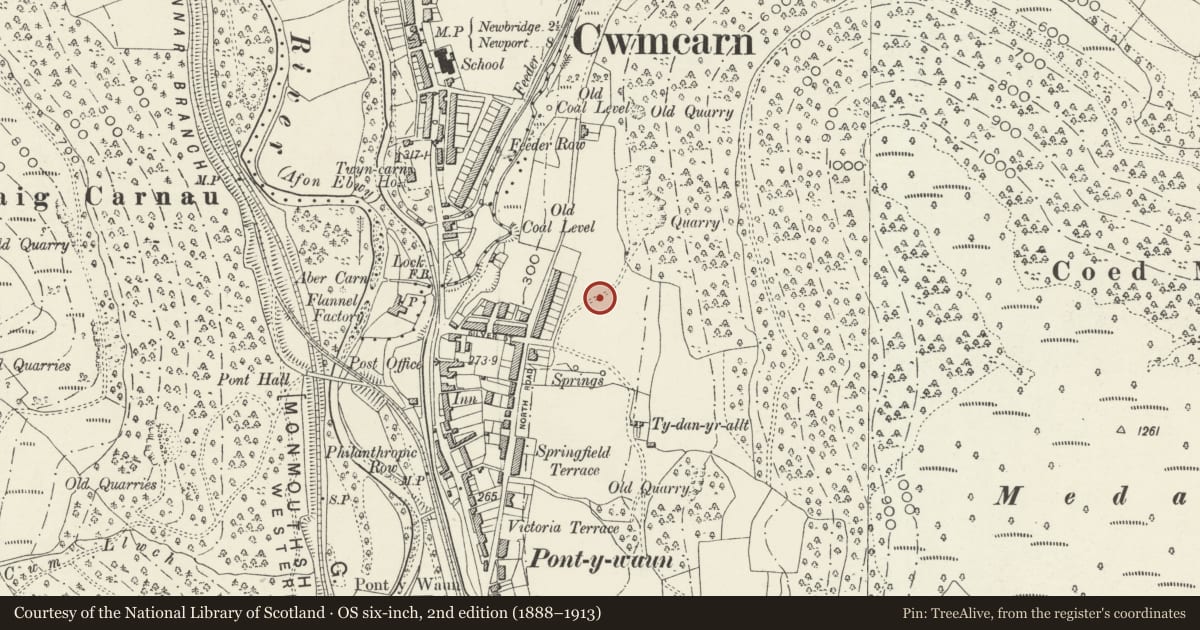 Ordnance Survey six-inch map, 2nd edition (1888–1913) covering the location of 8 Garden Suburbs, Crosskeys, Caerphilly, with a pin at the register's coordinates
