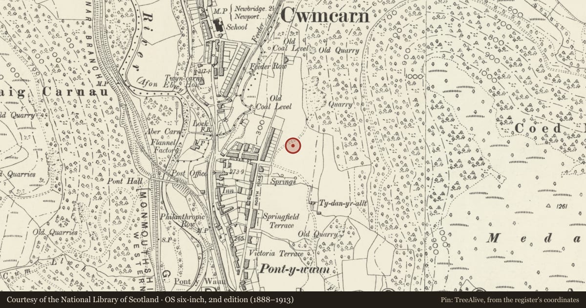 Ordnance Survey six-inch map, 2nd edition (1888–1913) covering the location of 12 Garden Suburbs, Crosskeys, Caerphilly, with a pin at the register's coordinates
