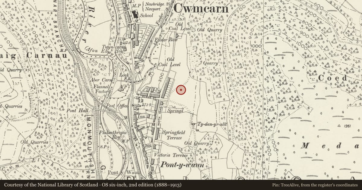 Ordnance Survey six-inch map, 2nd edition (1888–1913) covering the location of 14 Garden Suburbs, Crosskeys, Caerphilly, with a pin at the register's coordinates