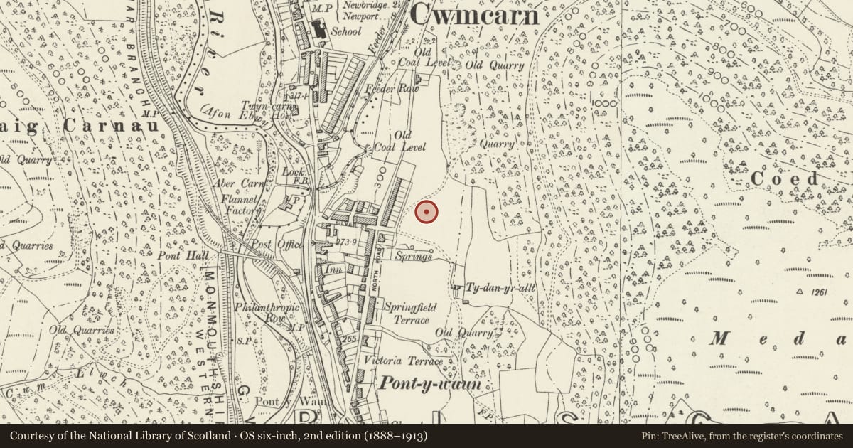 Ordnance Survey six-inch map, 2nd edition (1888–1913) covering the location of 18 Garden Suburbs, Crosskeys, Caerphilly, with a pin at the register's coordinates