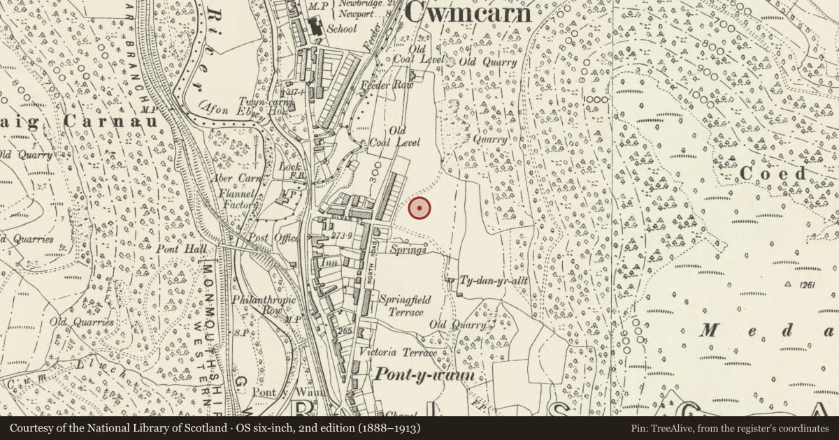 Ordnance Survey six-inch map, 2nd edition (1888–1913) covering the location of 20 Garden Suburbs, Crosskeys, Caerphilly, with a pin at the register's coordinates