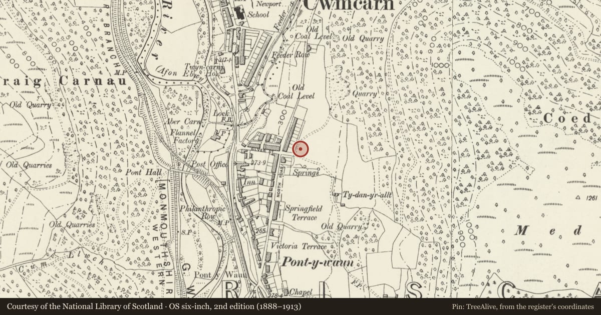 Ordnance Survey six-inch map, 2nd edition (1888–1913) covering the location of 45 Garden Suburbs, Circus, Crosskeys, Caerphilly, with a pin at the register's coordinates