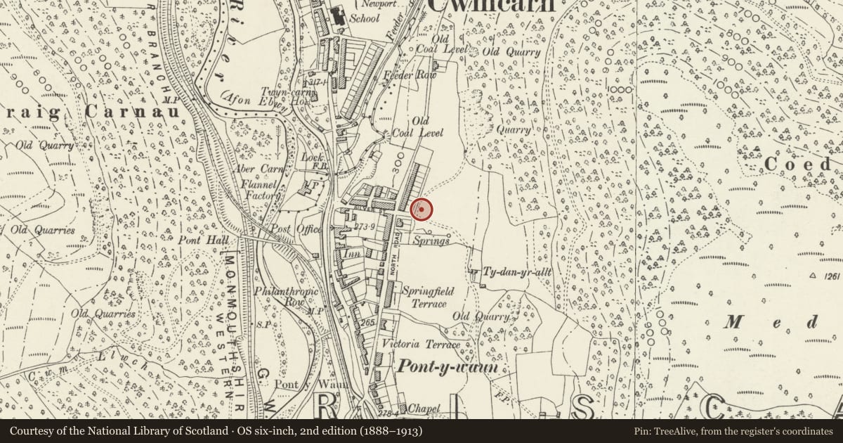 Ordnance Survey six-inch map, 2nd edition (1888–1913) covering the location of No 47 Garden Suburbs, Circus, Crosskeys, Caerphilly, with a pin at the register's coordinates