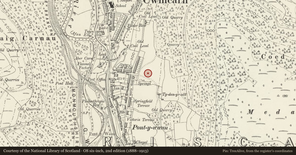 Ordnance Survey six-inch map, 2nd edition (1888–1913) covering the location of 24 Garden Suburbs, Crosskeys, Caerphilly, with a pin at the register's coordinates