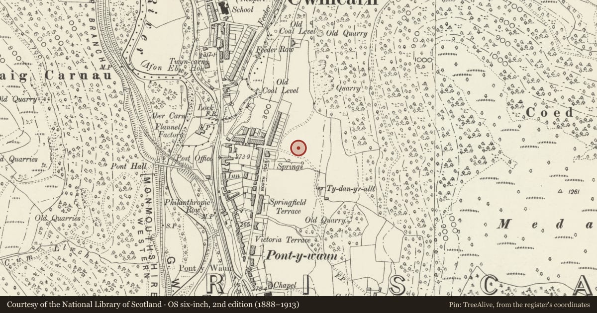 Ordnance Survey six-inch map, 2nd edition (1888–1913) covering the location of 26 Garden Suburbs, Circus, Crosskeys, Caerphilly, with a pin at the register's coordinates