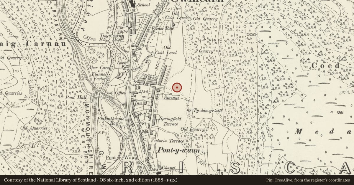Ordnance Survey six-inch map, 2nd edition (1888–1913) covering the location of 28 Garden Suburbs, Circus, Crosskeys, Caerphilly, with a pin at the register's coordinates