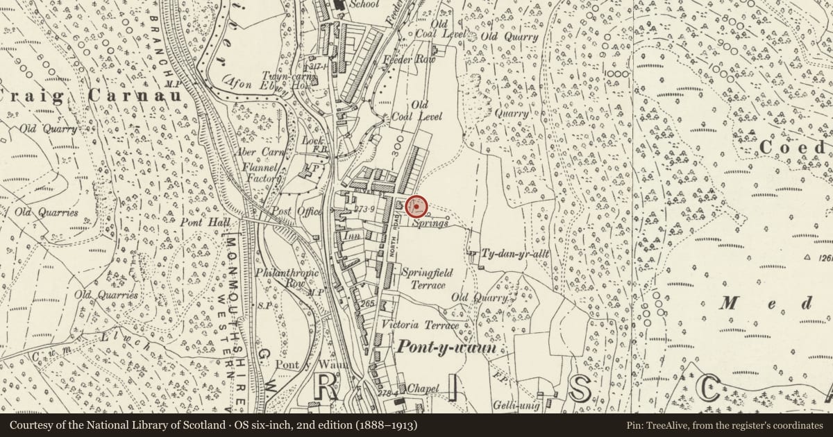 Ordnance Survey six-inch map, 2nd edition (1888–1913) covering the location of 51 Garden Suburbs, Circus, Crosskeys, Caerphilly, with a pin at the register's coordinates