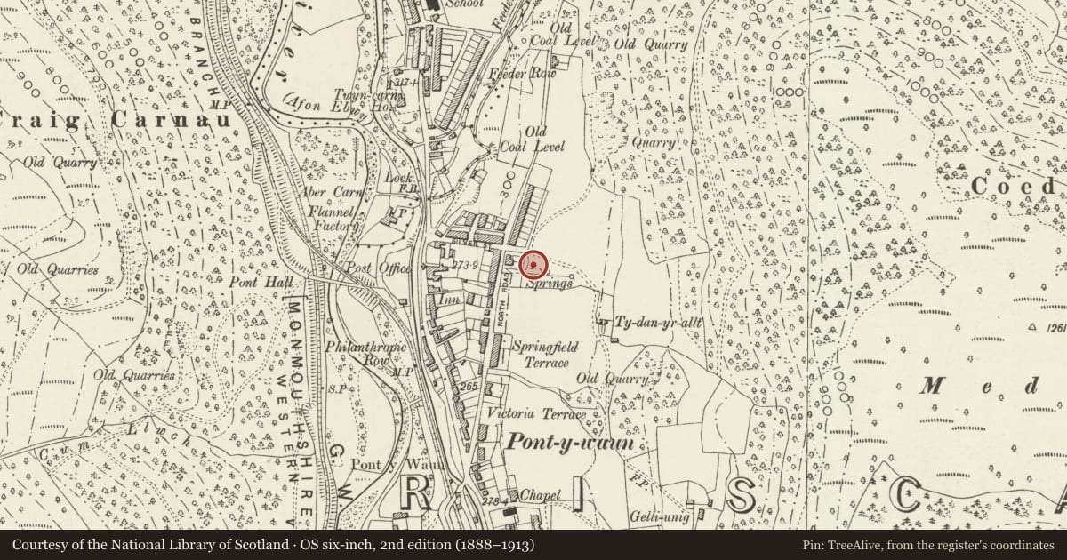 Ordnance Survey six-inch map, 2nd edition (1888–1913) covering the location of No 53 Garden Suburbs, Circus, Crosskeys, Caerphilly, with a pin at the register's coordinates