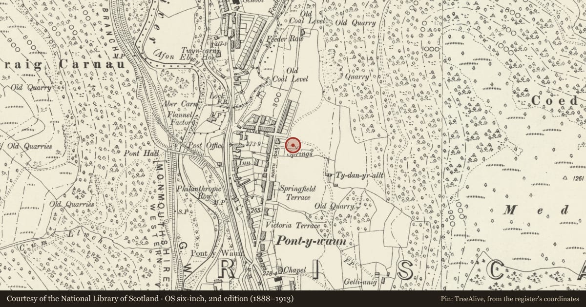 Ordnance Survey six-inch map, 2nd edition (1888–1913) covering the location of 55 Garden Suburbs, Circus, Crosskeys, Caerphilly, with a pin at the register's coordinates
