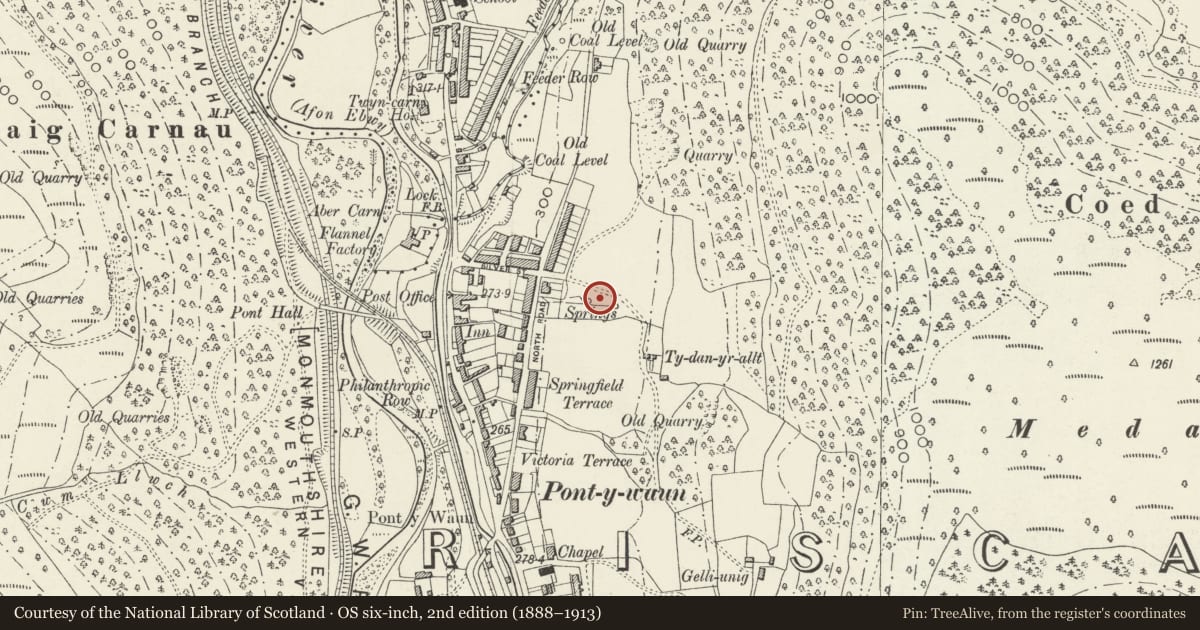 Ordnance Survey six-inch map, 2nd edition (1888–1913) covering the location of 32 Garden Suburbs, Circus, Crosskeys, Caerphilly, with a pin at the register's coordinates