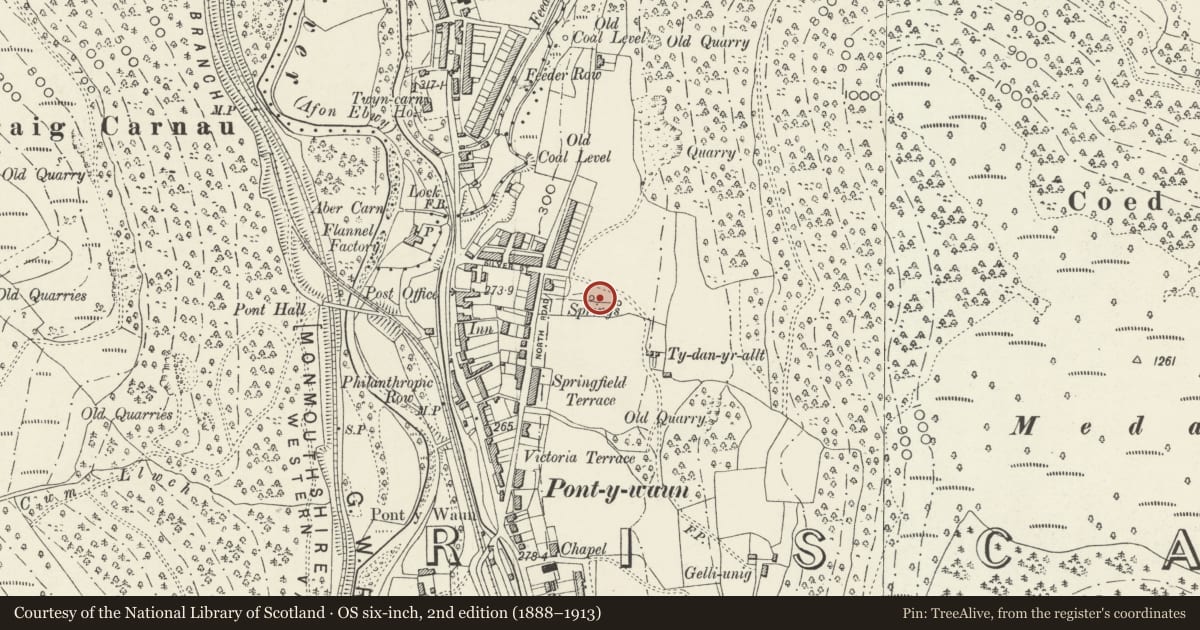 Ordnance Survey six-inch map, 2nd edition (1888–1913) covering the location of 34 Garden Suburbs, Circus, Crosskeys, Caerphilly, with a pin at the register's coordinates