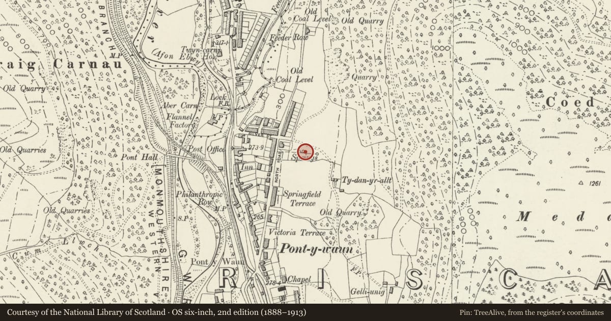 Ordnance Survey six-inch map, 2nd edition (1888–1913) covering the location of 36 Garden Suburbs, Circus, Crosskeys, Caerphilly, with a pin at the register's coordinates