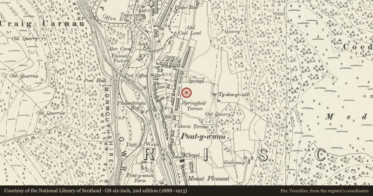 Ordnance Survey six-inch map, 2nd edition (1888–1913) covering the location of 59 Garden Suburbs, Crosskeys, Caerphilly, with a pin at the register's coordinates
