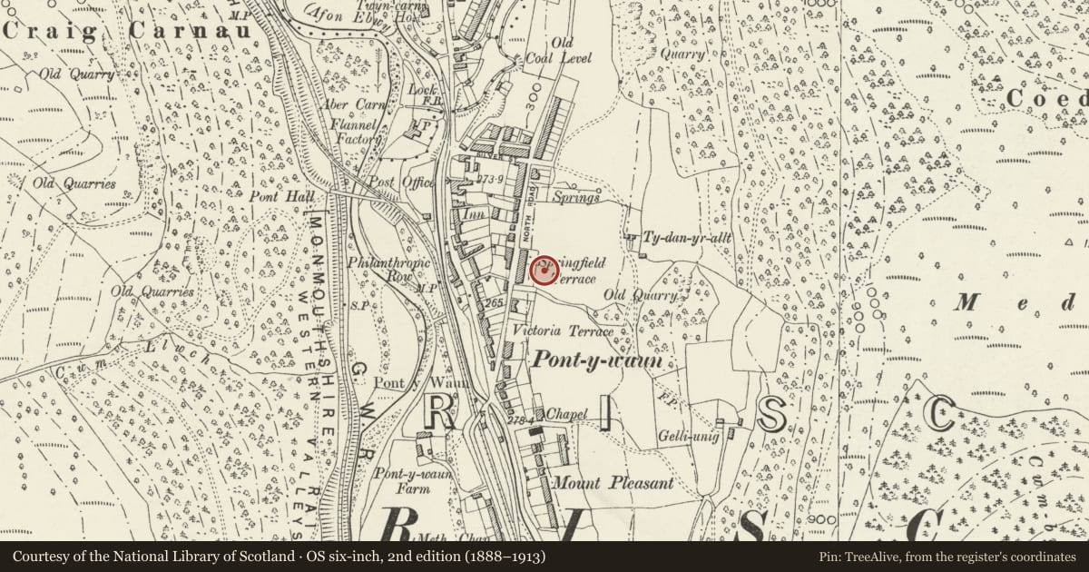 Ordnance Survey six-inch map, 2nd edition (1888–1913) covering the location of 71 Garden Suburbs, Crosskeys, Caerphilly, with a pin at the register's coordinates