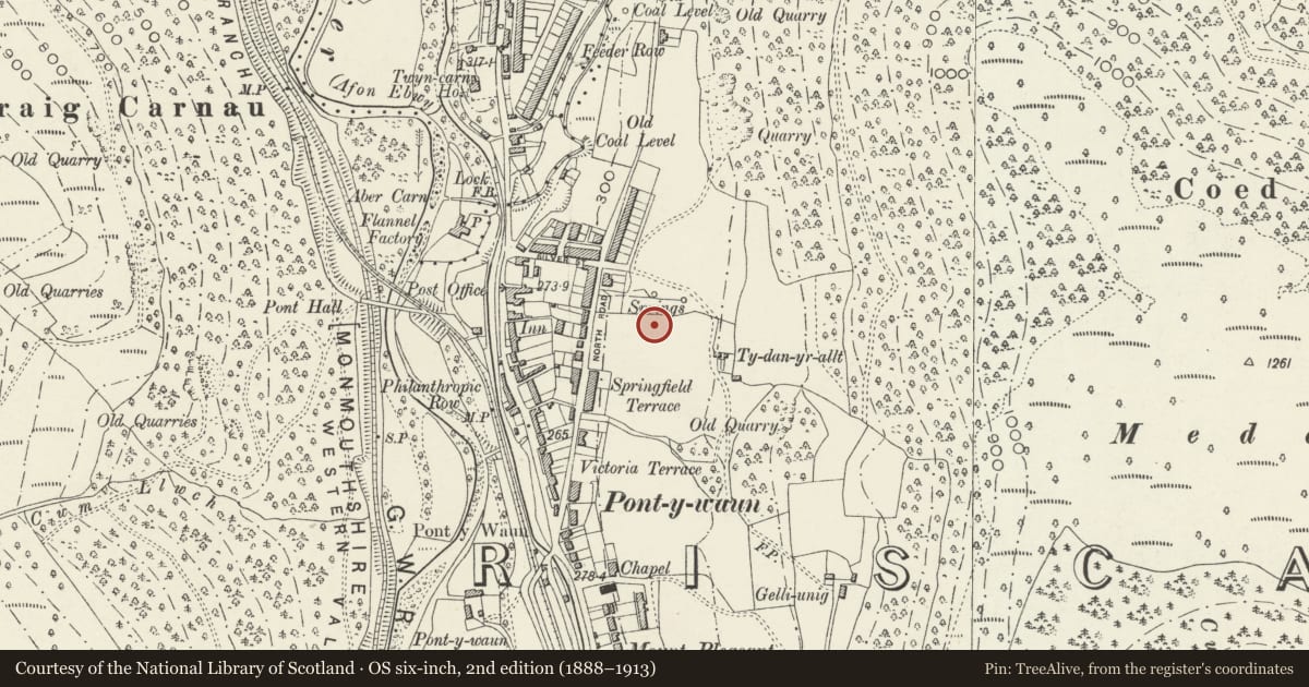 Ordnance Survey six-inch map, 2nd edition (1888–1913) covering the location of 40 Garden Suburbs, Crosskeys, Caerphilly, with a pin at the register's coordinates