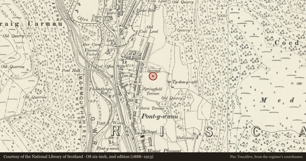 Ordnance Survey six-inch map, 2nd edition (1888–1913) covering the location of 42 Garden Suburbs, Crosskeys, Caerphilly, with a pin at the register's coordinates