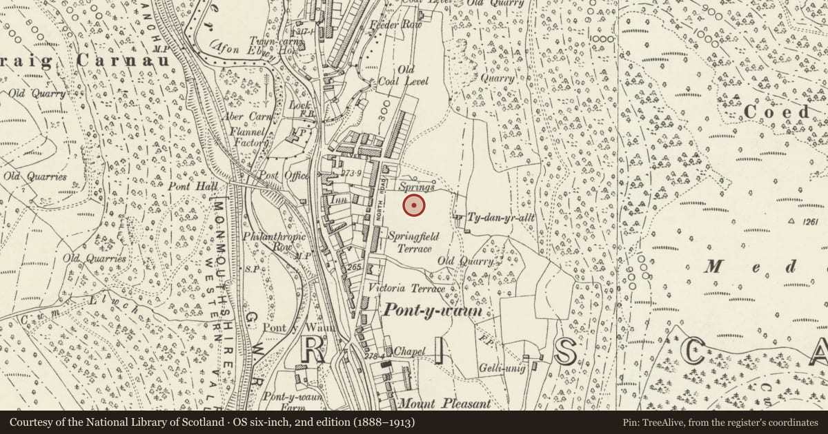 Ordnance Survey six-inch map, 2nd edition (1888–1913) covering the location of 44 Garden Suburbs, Crosskeys, Caerphilly, with a pin at the register's coordinates