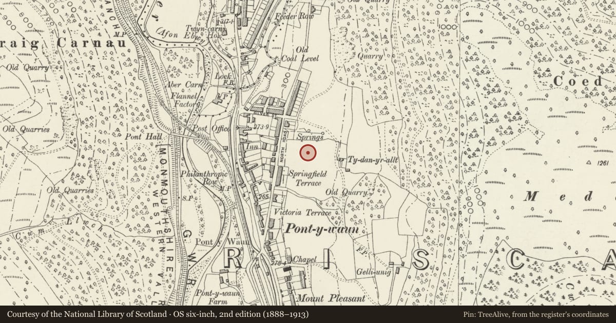 Ordnance Survey six-inch map, 2nd edition (1888–1913) covering the location of 46 Garden Suburbs, Crosskeys, Caerphilly, with a pin at the register's coordinates