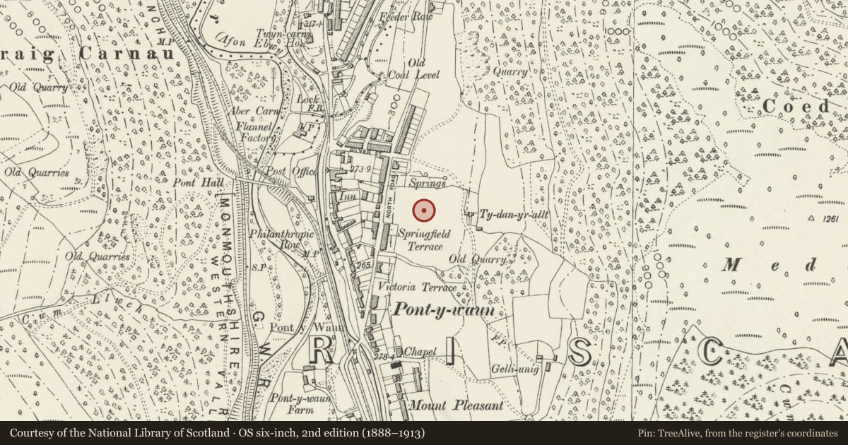 Ordnance Survey six-inch map, 2nd edition (1888–1913) covering the location of 48 Garden Suburbs, Crosskeys, Caerphilly, with a pin at the register's coordinates