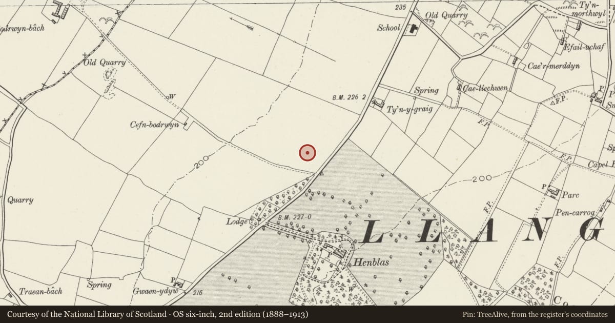Ordnance Survey six-inch map, 2nd edition (1888–1913) covering the location of Cefn Llwyn, Llangristiolus, Isle of Anglesey, with a pin at the register's coordinates