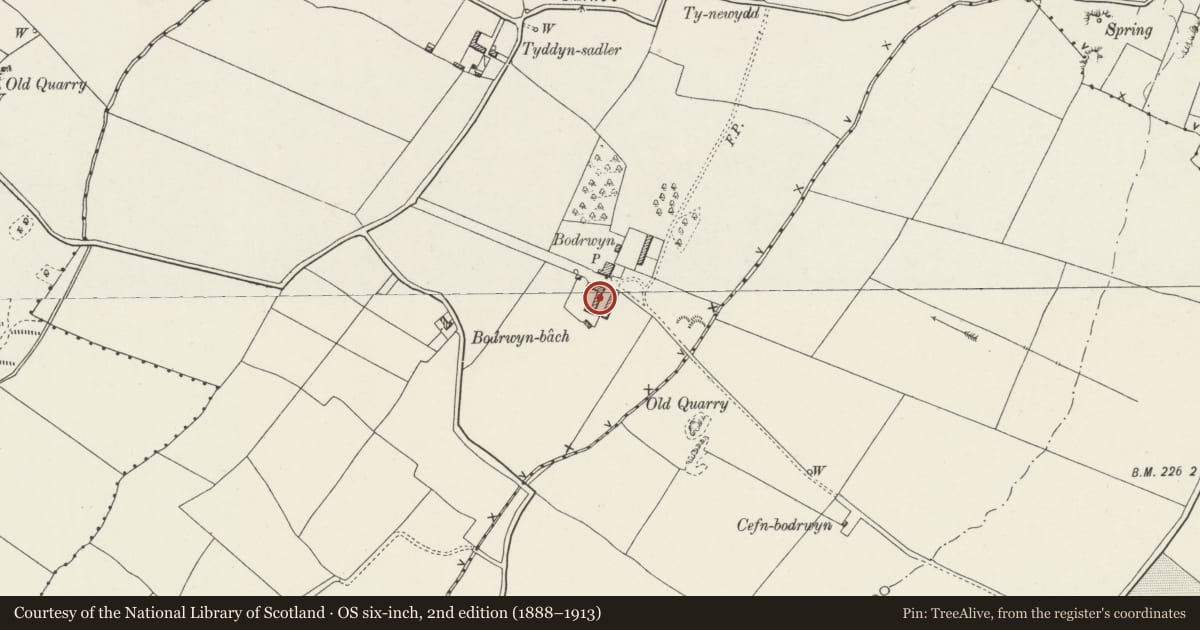 Ordnance Survey six-inch map, 2nd edition (1888–1913) covering the location of 'Old house' at Bodrwyn, and attached agricultural range, Llangristiolus, Isle of Anglesey, with a pin at the register's coordinates
