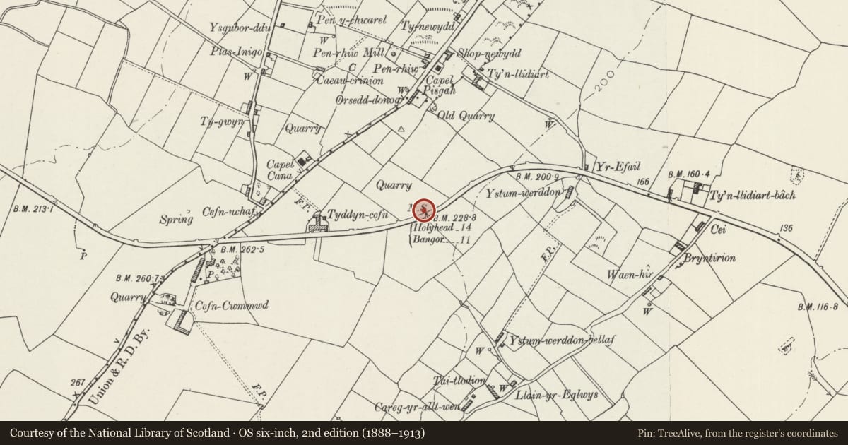 Ordnance Survey six-inch map, 2nd edition (1888–1913) covering the location of Telford Milestone (14), Llangristiolus, Isle of Anglesey, with a pin at the register's coordinates