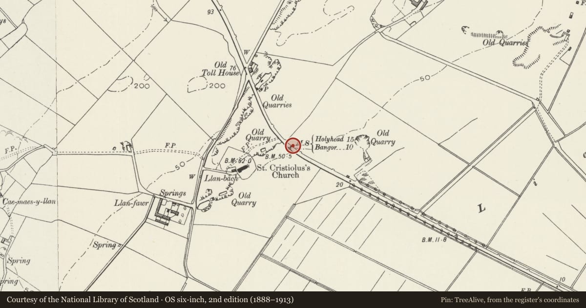 Ordnance Survey six-inch map, 2nd edition (1888–1913) covering the location of Telford Milestone (15), below the church of St Cristiolus, Llangristiolus, Isle of Anglesey, with a pin at the register's coordinates