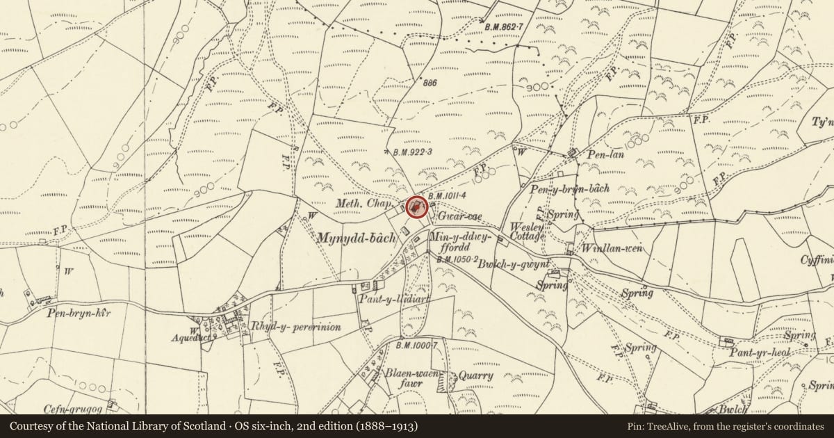 Ordnance Survey six-inch map, 2nd edition (1888–1913) covering the location of Capel Salem, including attached house, forecourt wall and outbuilding, Pontarfynach, Ceredigion, with a pin at the register's coordinates