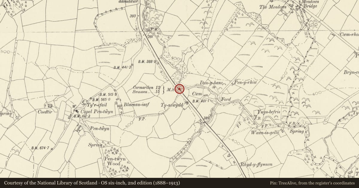 Ordnance Survey six-inch map, 2nd edition (1888–1913) covering the location of Milestone near Blaenau Isaf, Llannon, Carmarthenshire, with a pin at the register's coordinates