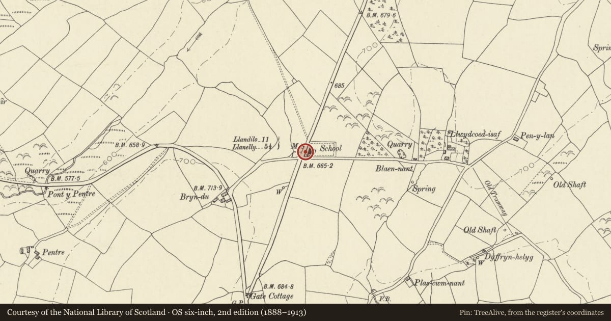 Ordnance Survey six-inch map, 2nd edition (1888–1913) covering the location of Milestone at Bryn Du, Llannon, Carmarthenshire, with a pin at the register's coordinates