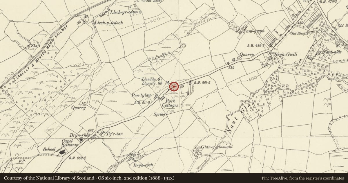 Ordnance Survey six-inch map, 2nd edition (1888–1913) covering the location of Milestone between Crosshands and Tumble, Llannon, Carmarthenshire, with a pin at the register's coordinates