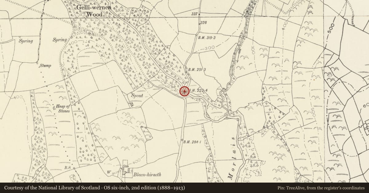 Ordnance Survey six-inch map, 2nd edition (1888–1913) covering the location of Bridge over Afon Morlais, Llannon, Carmarthenshire, with a pin at the register's coordinates
