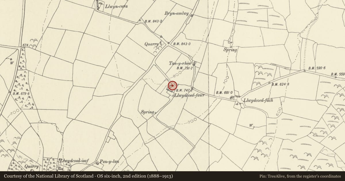 Ordnance Survey six-inch map, 2nd edition (1888–1913) covering the location of Barn at Llwyd Coed Fawr Farm, Llannon, Carmarthenshire, with a pin at the register's coordinates