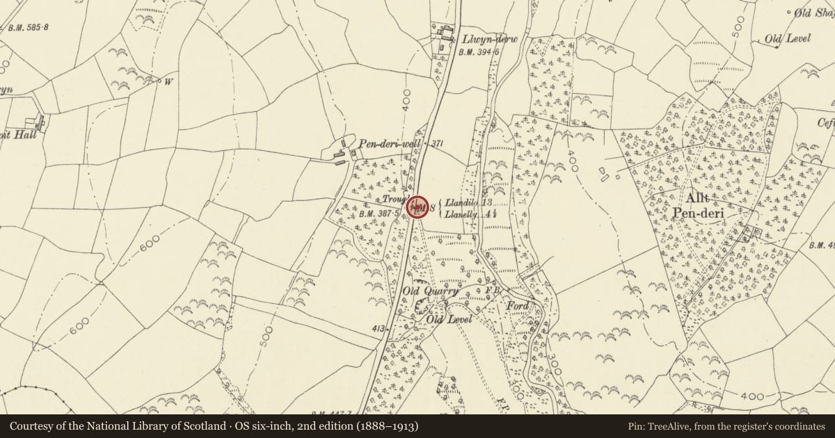 Ordnance Survey six-inch map, 2nd edition (1888–1913) covering the location of Milestone near Penderi, Llannon, Carmarthenshire, with a pin at the register's coordinates