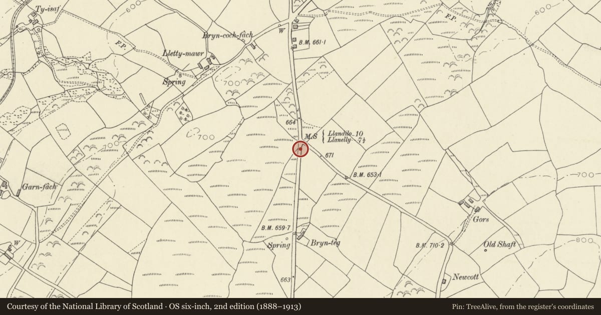 Ordnance Survey six-inch map, 2nd edition (1888–1913) covering the location of Milestone south of Upper Tumble, Llannon, Carmarthenshire, with a pin at the register's coordinates