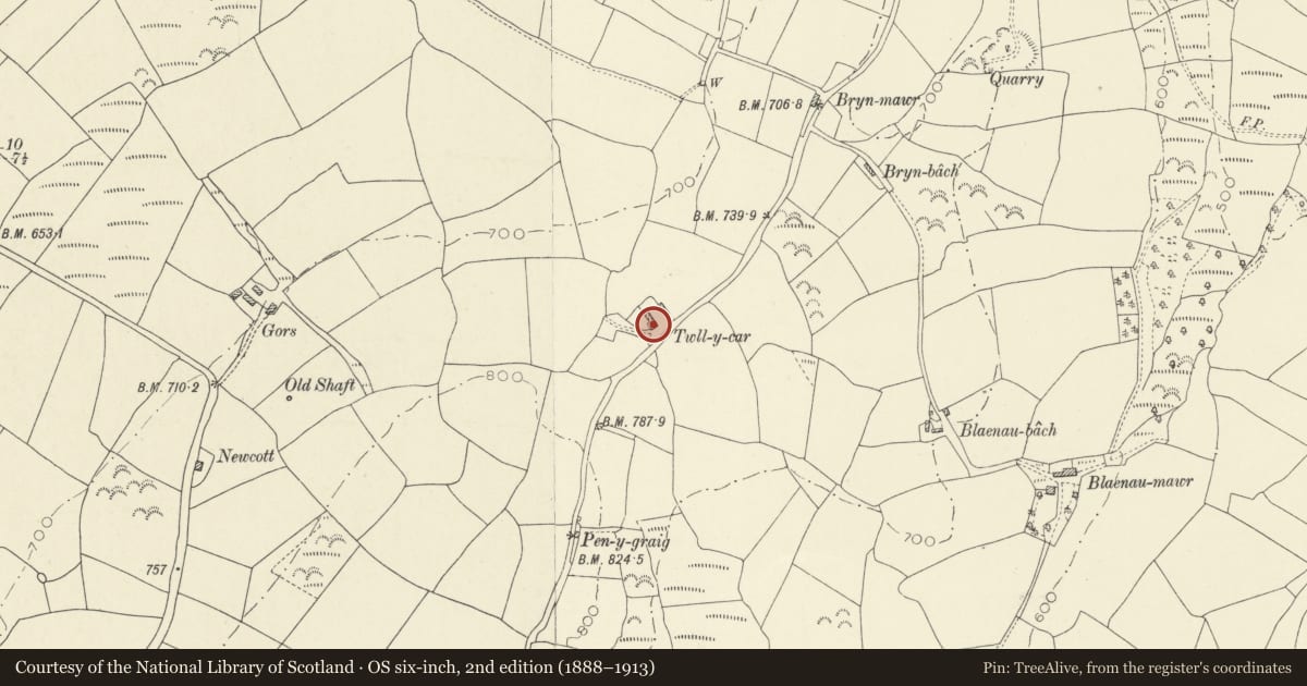 Ordnance Survey six-inch map, 2nd edition (1888–1913) covering the location of Twll y Car Farmhouse and farm-range, Llannon, Carmarthenshire, with a pin at the register's coordinates