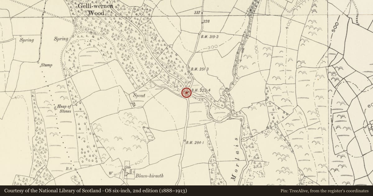 Ordnance Survey six-inch map, 2nd edition (1888–1913) covering the location of Bridge over Afon Morlais (partly in Llannon Community), Llangennech, Carmarthenshire, with a pin at the register's coordinates