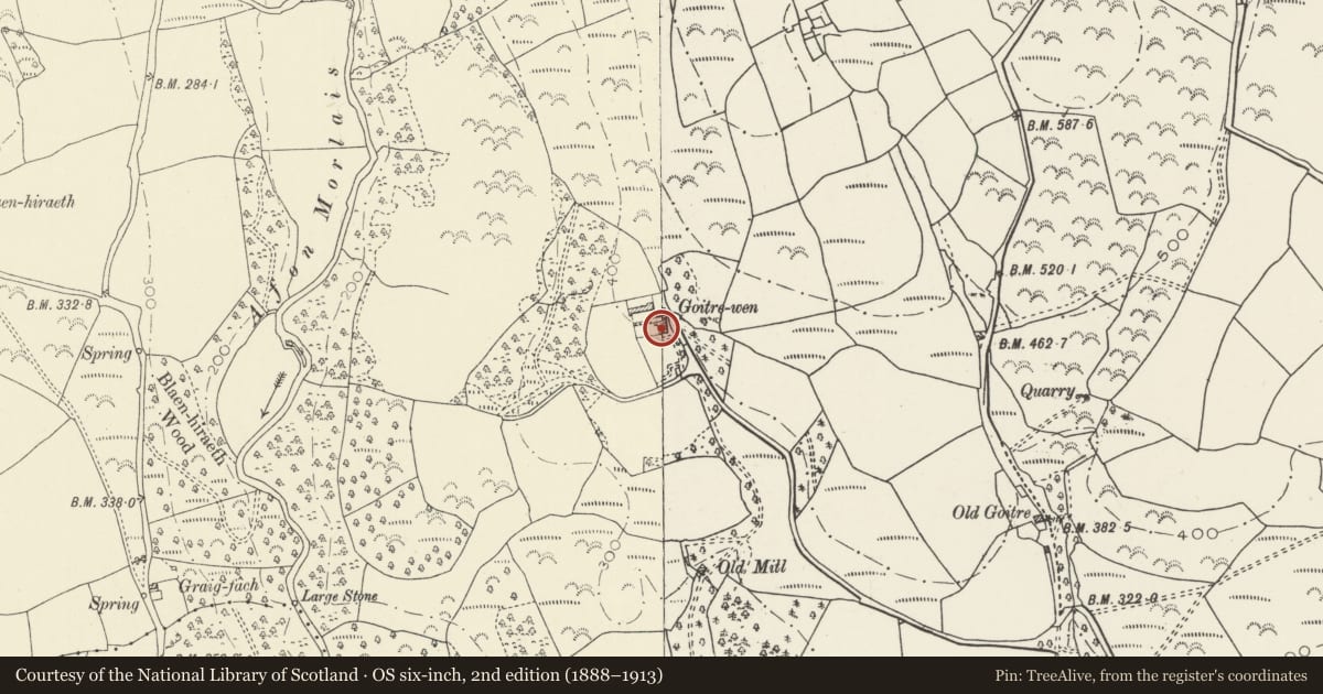 Ordnance Survey six-inch map, 2nd edition (1888–1913) covering the location of Goitre Wen Farmhouse with adjacent Walled Yards and Garden, Llangennech, Carmarthenshire, with a pin at the register's coordinates