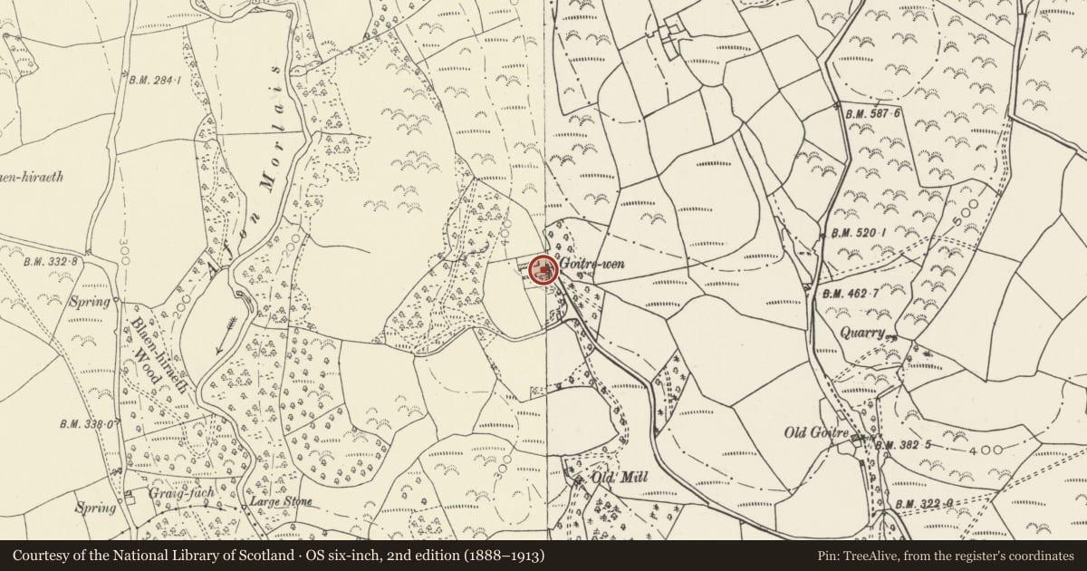 Ordnance Survey six-inch map, 2nd edition (1888–1913) covering the location of Goitre Wen Stables and Domestic Offices, Llangennech, Carmarthenshire, with a pin at the register's coordinates